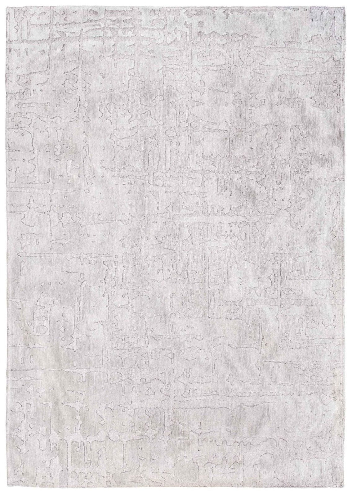 Baobab Tsingy Oyster   9198