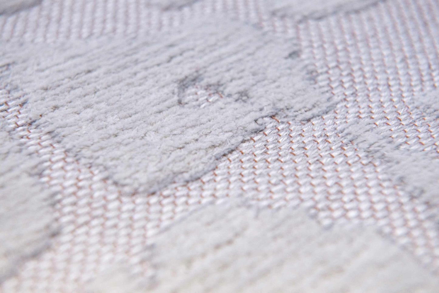 Baobab Tsingy Oyster   9198