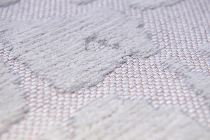 Baobab Tsingy Oyster   9198