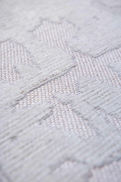 Baobab Tsingy Oyster   9198