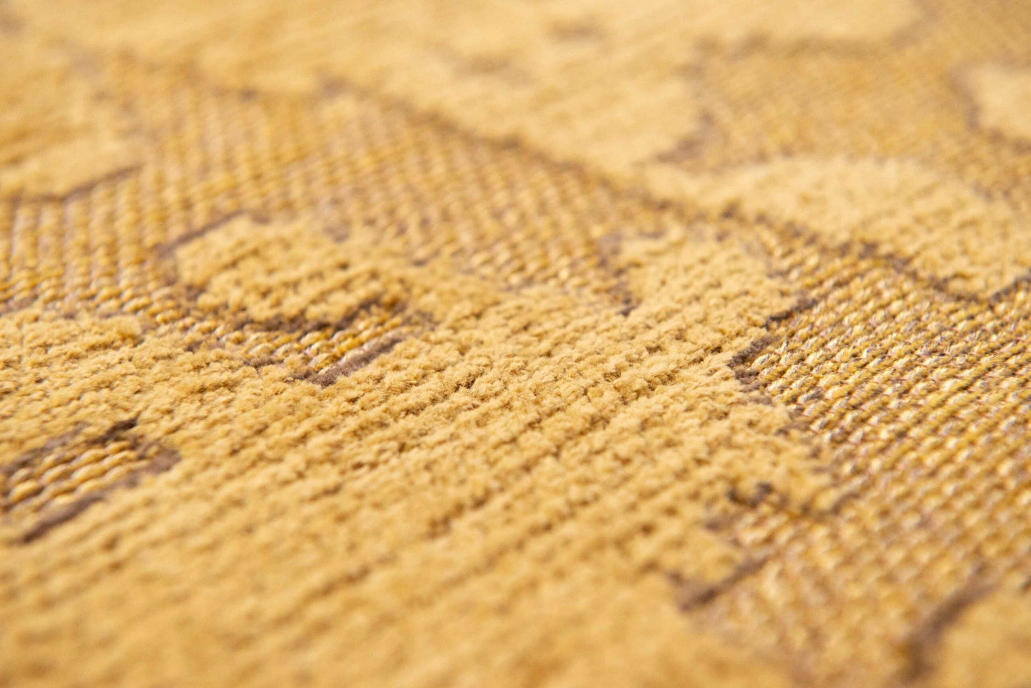 Baobab Madagascar Gold  9201