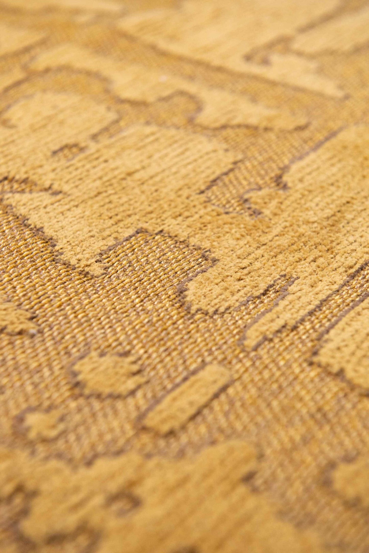 Baobab Madagascar Gold  9201